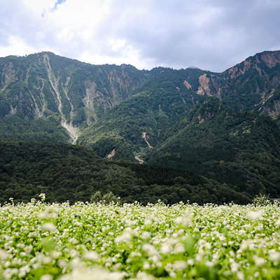 烏甲山の展望台
